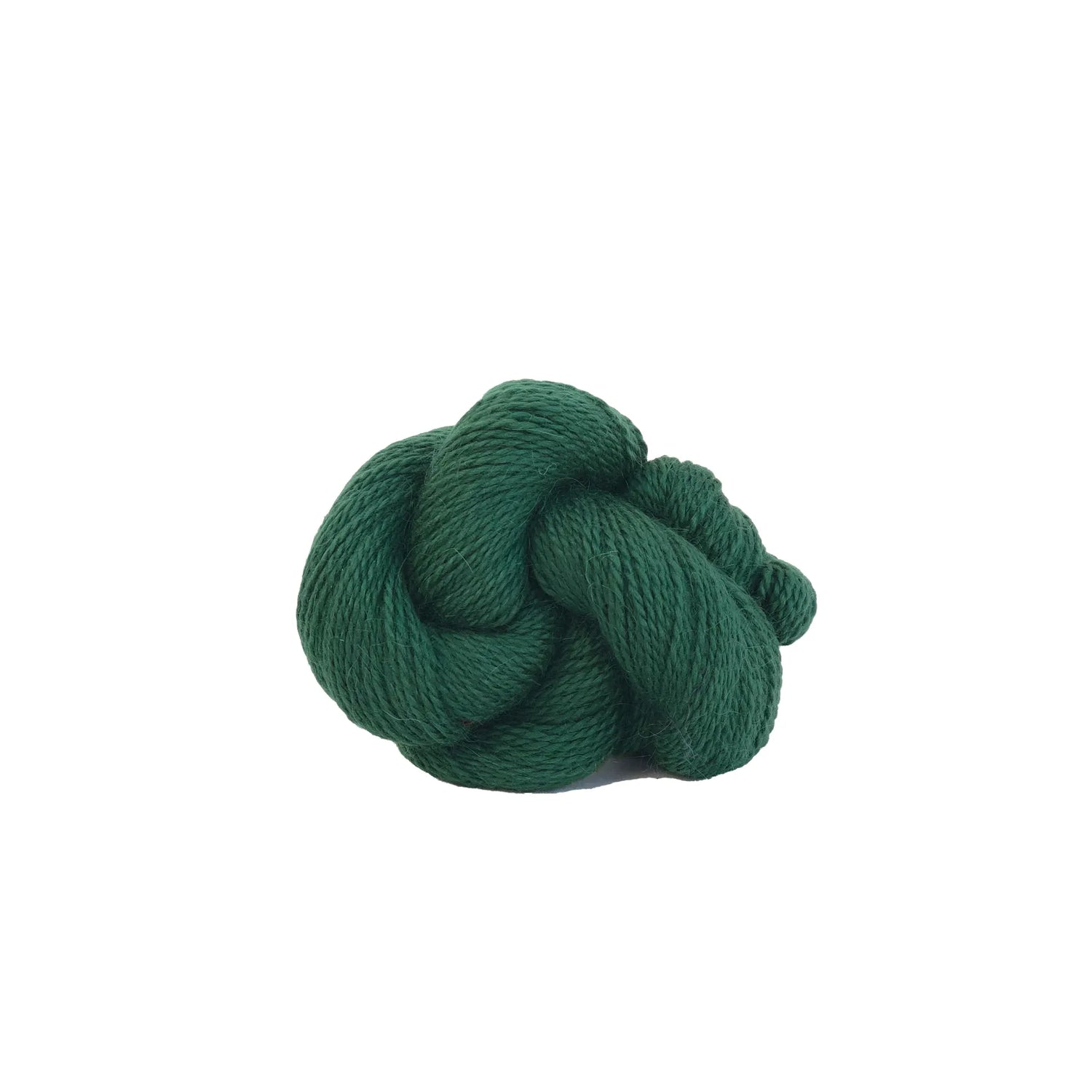 Andorra | 309 evergreen