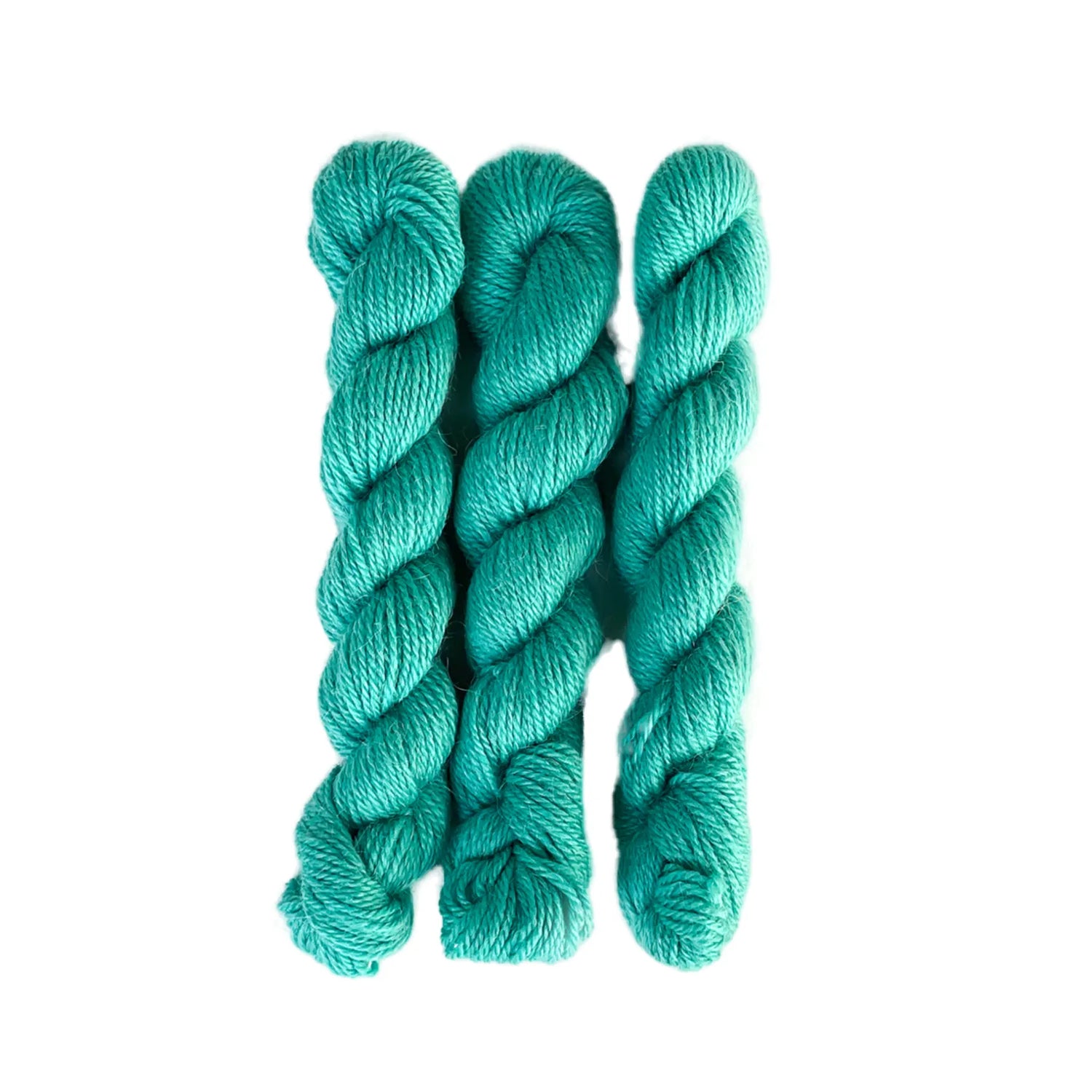 Perennial Minis | 350 caribbean