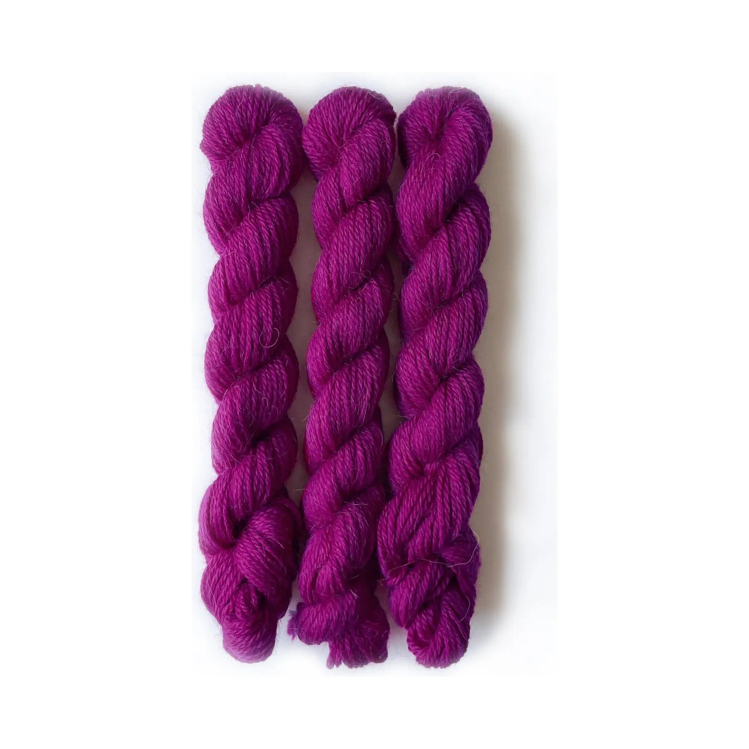 Perennial Minis | 520 raspberry
