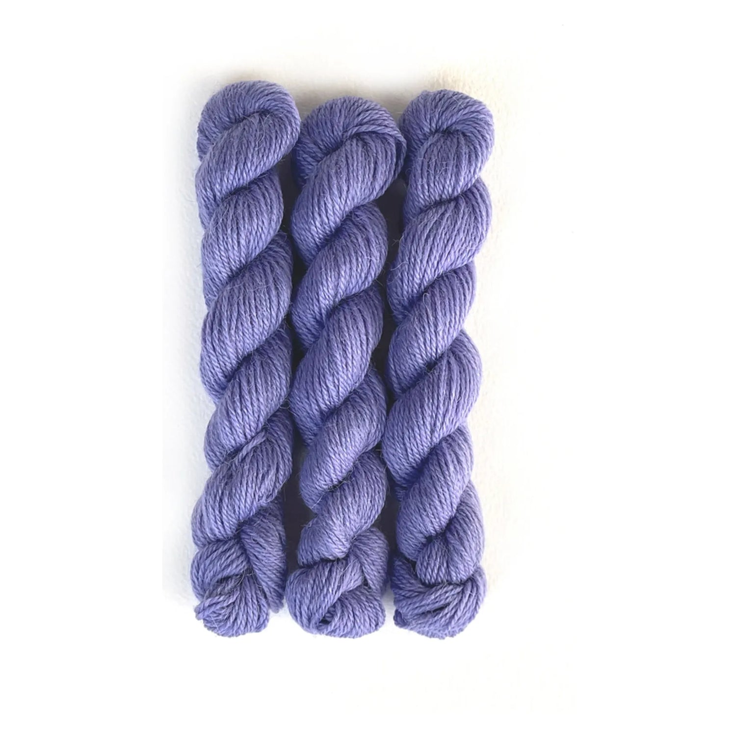 Perennial Minis | 550 cornflower