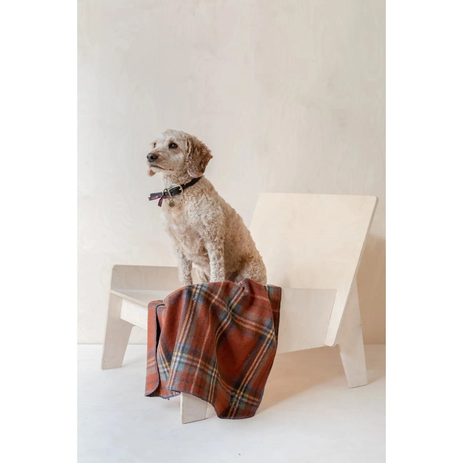 Recycled Wool Small Pet Blanket | Stewart Royal Antique Tartan