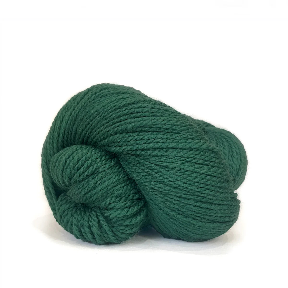 Scout | 307 forest