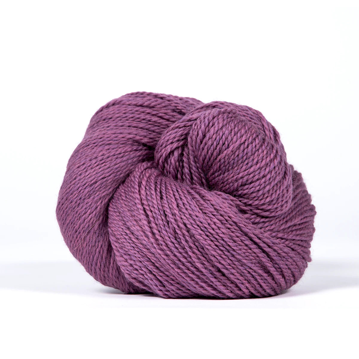 Scout | 519 orchid heather