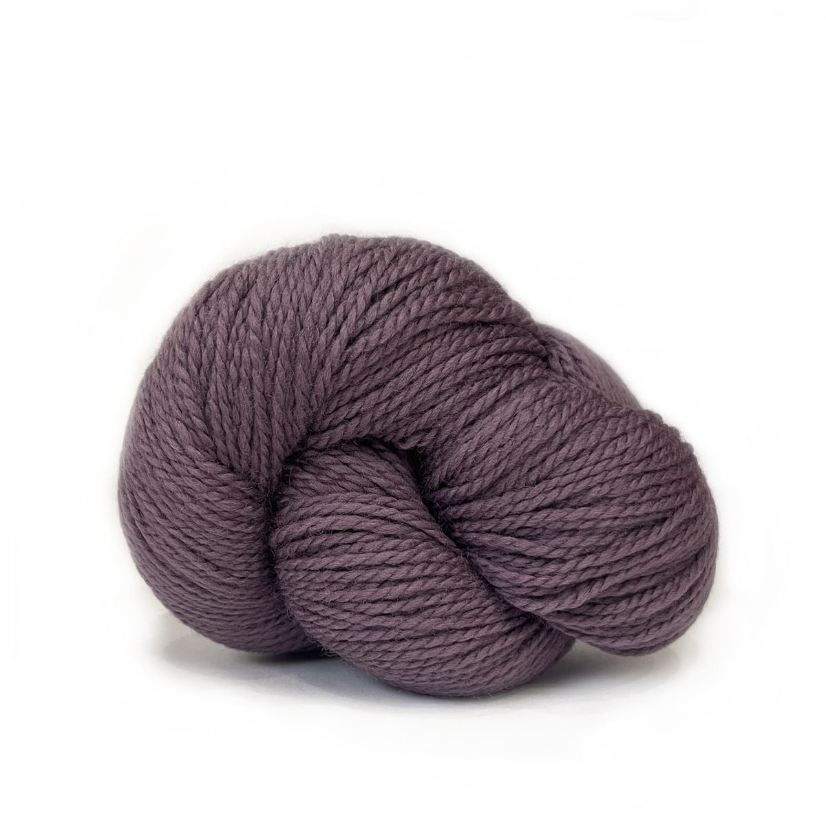 Scout | 525 african violet