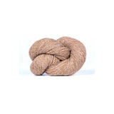 Bio Shetland | 04 mouflon