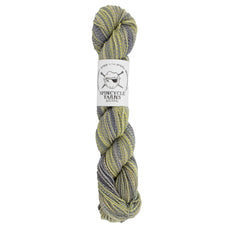 Dyed in the Wool | Grumpy Birds