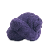 Perennial | 501 purple