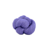 Perennial | 550 cornflower