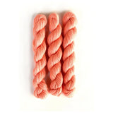 Perennial Minis | 865 cantaloupe