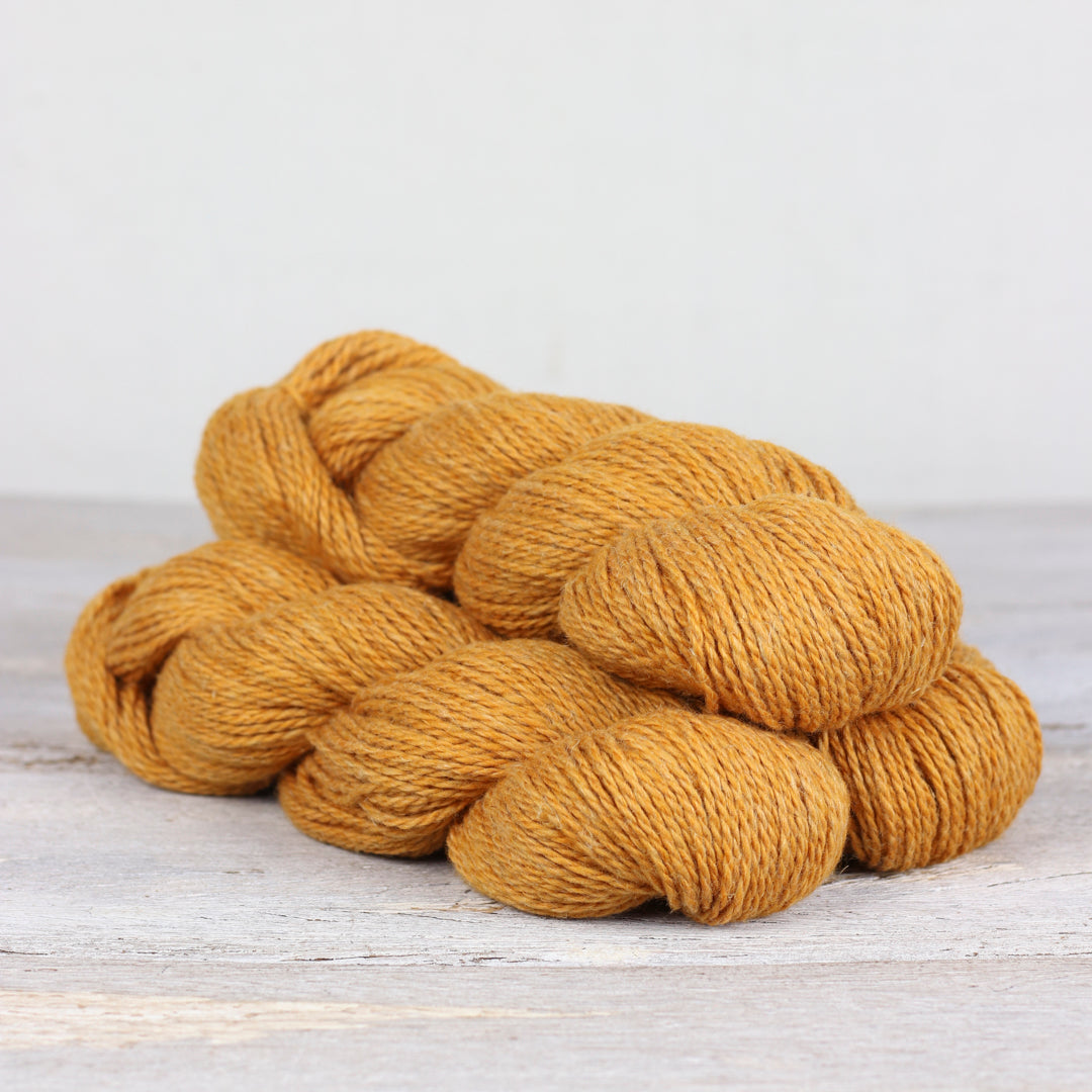 Luma | Marigold