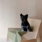 Recycled Wool Small Pet Blanket | Olive Herringbone