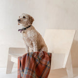 Recycled Wool Small Pet Blanket | Stewart Royal Antique Tartan