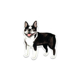 Boston Terrier Sticker