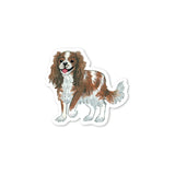 Cavalier King Charles Sticker