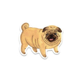 Pug Sticker