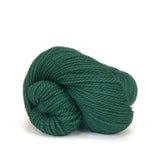 Scout | 307 forest
