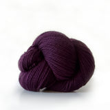 Scout | 503 fig