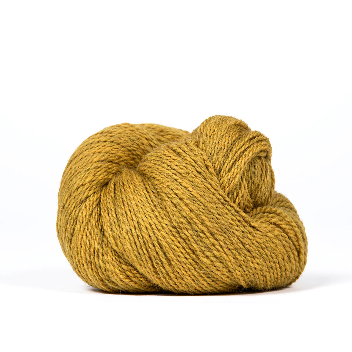 Scout | 709 sunflower heather