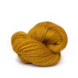 Scout | 720 dandelion